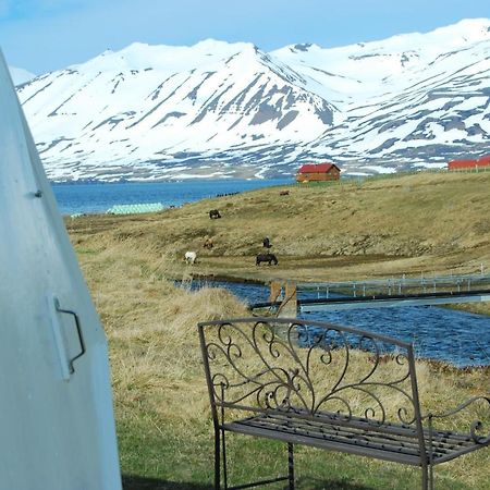 Sky Sighting Igluhus - Stay'In Arbakki Arskogssandur Buitenkant foto